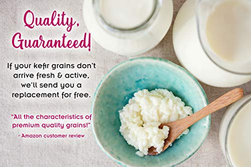 3 1TBSP+Active+Organic+Kefir+Grains