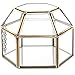 4.75 inch Faceted Hexagonal Clear Glass & Brass Metal Hinged Top Lid Plant Terrarium Box/Tabletop Display Case