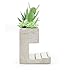 Kikkerland Concrete Desktop Planter, Large (PL02-L)