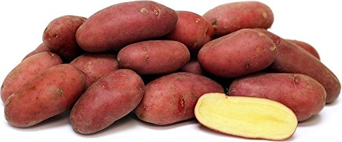 fingerlings rose