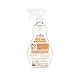Toy & High Chair Cleaner, Fragrance Free 16.9 Oz by Dapple (Pack of 2)