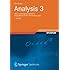 Analysis 3: Ma&szlig;- und Integrationstheorie, Integrals&auml;tze im IRn und Anwendungen (Aufbaukurs Mathematik)