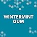 Orbit Wintermint Sugarfree Gum, 55 Piece Bottle (4 Packs)