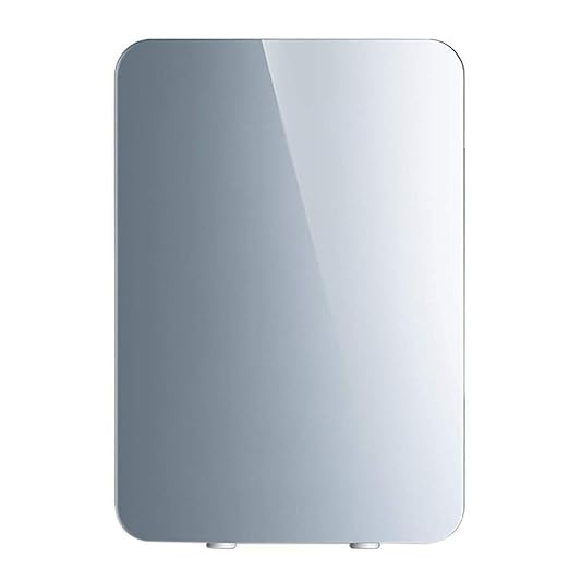 wangt Mini Nevera Compacta,12V DC / 220-240V AC Refrigerador del ...