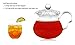 Glass Teapot No Drip Special Lead Free Glass (20 oz Fairy Clear)