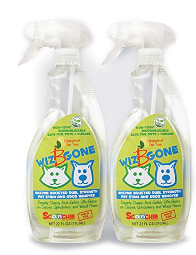 Scoochie Pet Stain & Odor Eliminator Dual Strength Professional- Enzyme Boosted Pet Odor & Stain Remover for Dog and Cats Urine - Non Toxic- 2 Pack - 22 Ounce Each-Made in USA T