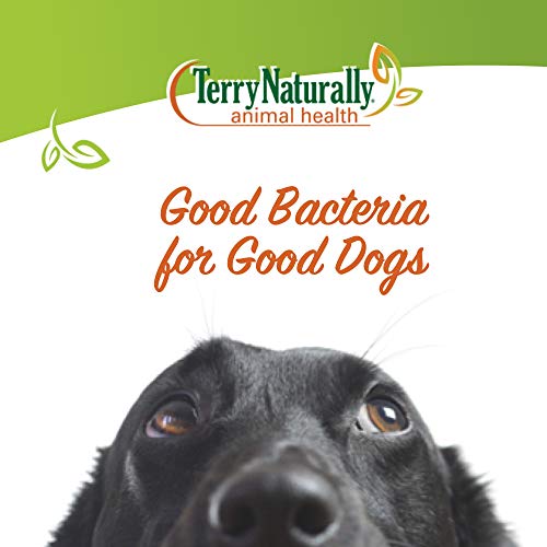 Terry Naturally Animal Health Probiotic Daily 60 Chewable Tablets