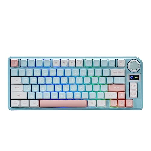 EPOMAKER TH80-X Gasket Teclado Mecánico, 75% Layout Triple Mode(2.4ghz/BT/USB-C) Hot-Swap Teclado Gaming con Batería 8000mAh, Pantalla LCD, Silicon Pad, NKRO, RGB (Rosa, Gateron Pro Yellow)
