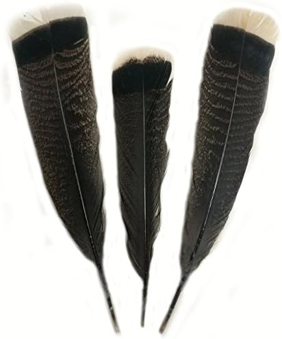 ZJONES 20pcs Natural Precious Wild Turkey Tail Feathers 10-12inches / 25-30cm For Craft
