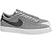 Nike Men's SB Zoom Dunk Low Pro Skate Shoe