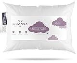Lincove Toddler Pillow - Pure White 100% Cotton Shell 13