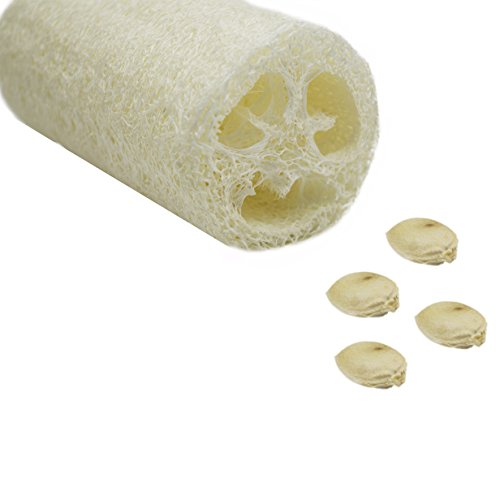 MAYMII 100% NATURE Six (6) Pack of 4" Loofahs Spa Exfoliating Scrubber Best Luffa Body wash sponge Remove Dead Skin