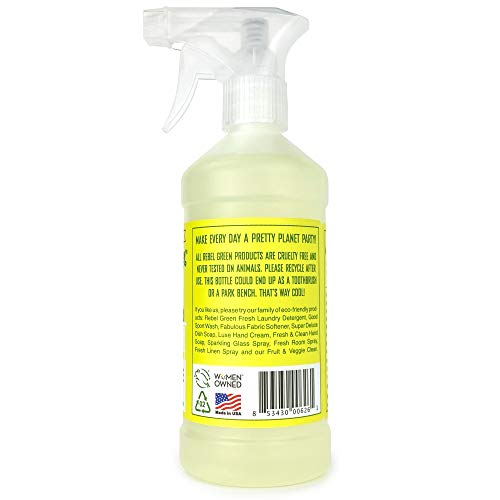 Rebel Green Natural All-Purpose Cleaner Spray - Kid Safe, Pet Safe, Non-Toxic Multi-Surface Cleaner - Peppermint & Lemon, 16 Ounce Bottle (Pack of 4)