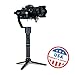EVO Rage Gen2 Camera Stabilizer for DSLR or Mirrorless Cameras, Works with Sony, Panasonic and Most Cameras 0.75 to 5.5lbs, 1 Year US Warranty and Tech Support