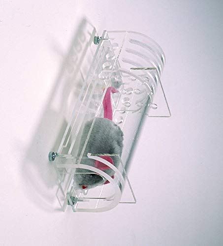 Bel-Art Universal Animal Restrainer for 250-600 Gram Rats and Guinea Pigs; Acrylic (H46400-0003)