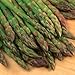 David's Garden Seeds Asparagus Jersey Gem DGS30089A (Green) 25 Hybrid Seeds