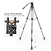 TARION TR-VT77 Camera Tripod Fluid Drag Head Tripod Full Panoramic View 360 1/4