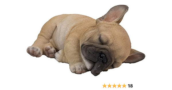 french bulldog left at home