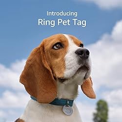 Ring Pet Tag | Easy-to-use tag with QR code