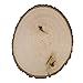 Walnut Hollow Bulk Value Pack Basswood Country Round, Large for Home Décor and Rustic Weddings