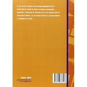 AGENTE DE PUESTA EN MARCHA MANTENIMIENTO REPARACION Y ADECUACION GAS