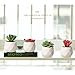 AmyHomie 15 Bundles Artificial Flowers Outdoor UV Resistant Faux Flowers No Fade Fake Plastic Plants Garden Porch Window Box Decorating ( Yellow ), 15pcs (8541836554)