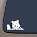 DD133 Winnie The Pooh Bear Inspired Decal Sticker | 6.5-Inches By 3.8-Inches | Premium Quality White Vinyl