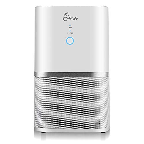 Jese Air Purifier for Allergies and Pets with 4-in-1 HEPA Filter, Mini Desktop Air Purifier Dust Odor Allergens Smoke Eliminator, Air Cleaner for Home, Air Filter for Office, Small Rooms - Thumbnail 6