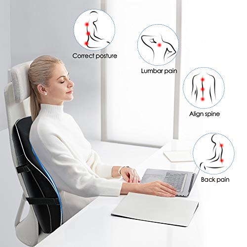 Winjoy Ergonomic Lumbar Support Pillow, 100% Pure Memory Foam Back Cushion with Breathable 3D Back Pillow Design for Lower Back Pain Relief,Durable Adjustable Straps for Chair/Recliner/Car Seat