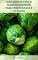 Livro Guia Simples Para O Jejum Intermitente Para Vegetarianos E Veganos : Noções Básicas Da Dieta Vegetariana E Dieta Vegana - Plano De Refeição Para Jejum Intermitente E Dieta Vegetariana