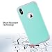 ULAK Slim Protective Case for iPhone Xs Max, Hybrid Soft Silicone Rubber Hard Back Cover Anti Scratch Bumper Case for Apple iPhone Xs Max 6.5 inch 2018 (Mint Green)
