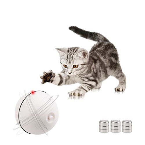 remote control instructions wow Blog â Chaser Cheese Toy Instructions Cat Wow