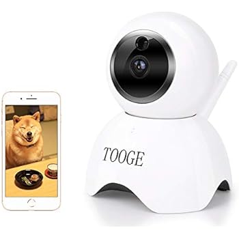 Amazon.com: Dog Camera WiFi Pet Camera FHD Indoor Cat