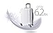 Genius Pack Hardside Luggage Spinner - Smart, Organized, Lightweight Suitcase - TSA Approved Maximum Allowance Cabin Size (Aerial - Brushed Chrome)