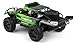 Exceed Racing Desert Monster 1/16 Scale Truck Ready to Run 2.4ghz (DD Green)
