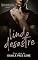 Livro Lindo Desastre