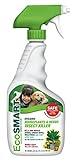 EcoSMART Organic Houseplants and Herbs Insect Killer, Best Non-Toxic Insecticide, 20 oz Ready-to-Spray Bottle