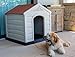 Internet’s Best Outdoor Dog House - Medium or Large Dogs - Comfortable Cool Shelter - Durable Plastic Design - Home Kennel - Indoor or Outdoor Use - Large