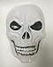 Forum Novelties 80870 Partypeople Halloween Hanging Ghost Decorations Spooky