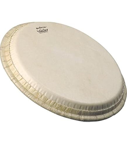 Amazon.com: Remo Conga Drumhead, S-Series Tucked, 10