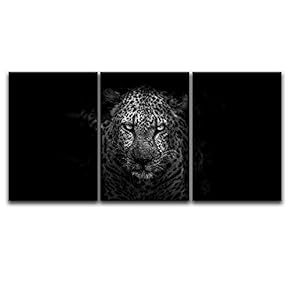 Intense Leopard On Black Background - 3 Panel Canvas Art