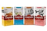 Carmién Tea – Wellness Herbal Teas Bag Pack – Focus, Relax, Rescue and Delight Rooibos Relaxing Sleep Tea Bags, 4 Pack