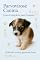Livro Parvovirose canina: Guia completo para tutores
