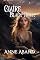 Livro Claire (Black Rock): Romance paranormal com lobos e bruxas (Black Rock em português Livro 5)