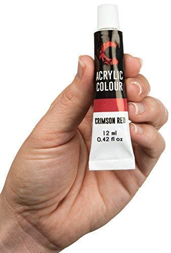 Creative Joy CJAPB01 Acrylic Paint Set & Brushes Vivid Paint Sets Include 6 Brushes-Great for Artists and Hobby Painters from Kids through Adults-Beginner to Expert Acrylic Paint Kits (12 Paints)