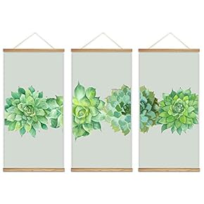 Succulents In A Row Gray Background - 3 Panel Framed Poster