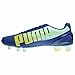 PUMA Women's Evospeed 3.2 FG Soccer Shoe