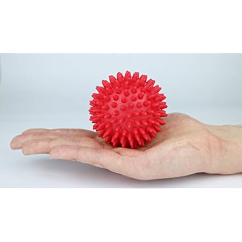 Sports & Outdoors, Sports & Fitness, Exercise & Fitness