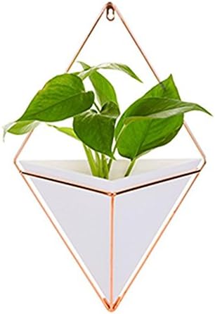 Modern Geometric Hanging Wall Pot with Brass Frame Large Mounted Decorative Vase & Container for Indoor Plants & Succulents Potter for Flower, Herbs, Vegetable Planting