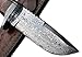 REG 16 C-FR Handmade Damascus Steel 11.00 Inches Bowie Knife - Exotic Wood Handle